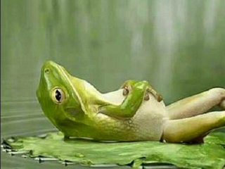 「あーこの説明会つまんねー早く終わらないかな・・・」