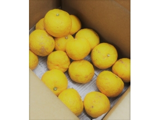 嬉しい贈り物・・・♪