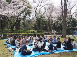 歓迎会兼お花見ランチを行いました♪
