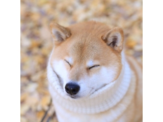 9月27日Webマーケター向けセミナー開催★ランチ特典付き★