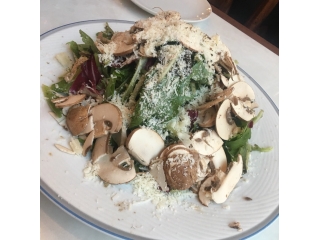 明後日開催！エンジニア向け実践型説明会～Web履歴書作成～★ランチ特典付き