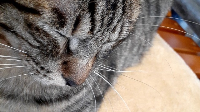 伊豆に旅行に行ってきました