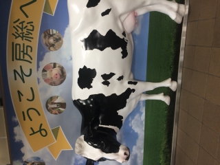 訪問先で見つけた面白いもの。