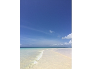 会社説明会を開催します！