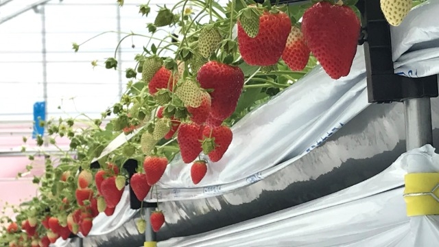 少人数制で開催中☆2021卒会社説明会☆