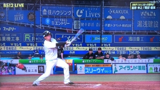 プロ野球開幕！リモート応援中☆