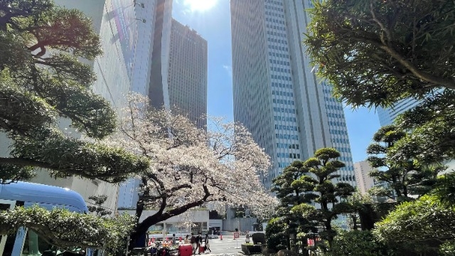 ★入社式★〈株式会社ライブズ〉