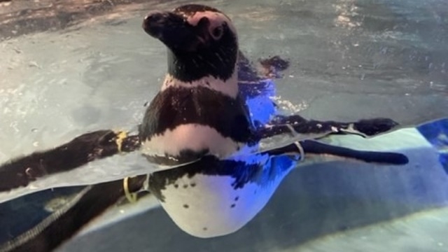 ５月になりました！【株式会社ライブズ】