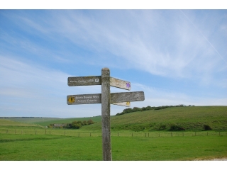 １つの会社で定年まで働くという幻想