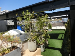 今日も暑いです