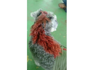 資金繰りがうまくいかない。