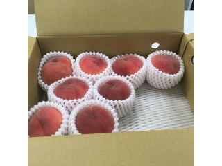 お中元シリーズ・桃