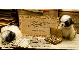 「ビズ部」知ってますか？