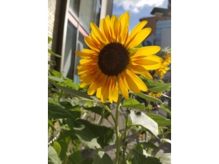 平成最後の夏はどんな夏だったか？