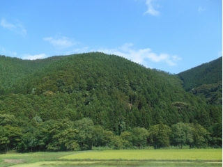 就活のルールが撤廃されましたね。