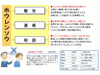 ほうれんそうの上手な使い方