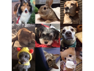 同期のこんな共通点