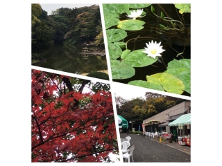 福祉部門での「余暇支援」の一部をご紹介♪＠新宿御苑にて