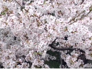 @ラブキャリア新宿オフィスの若手エース！！