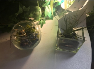 ラブキャリア本社の受付には・・・