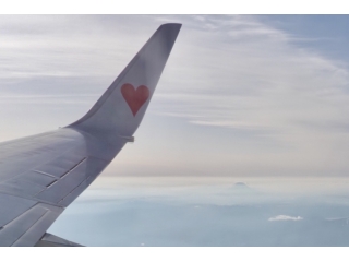 、、、冗談です