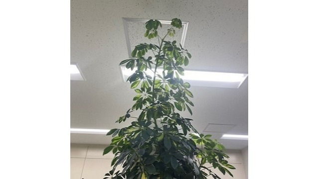 皆様のお陰です！！