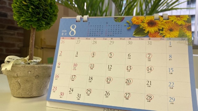 トラントの夏休み♪