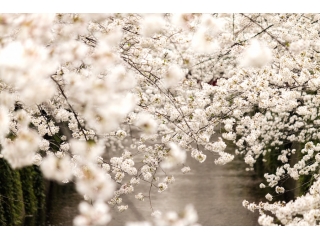 レイゼクスが求める人物　共に未来を創っていきませんか？