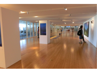 好きなことを仕事に活かす！新卒町口がレイゼクスの仕事を紹介