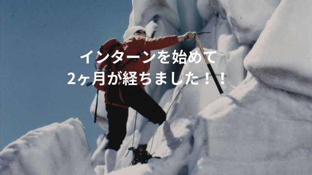 内定者インターンを初めて2ヶ月が経ちました！