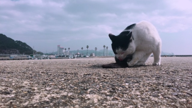 就活をするうえで大切なこと