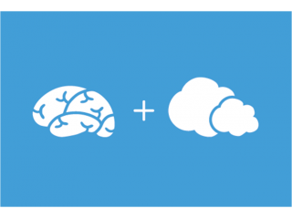 脳の記憶補助装置を開発しています♪
