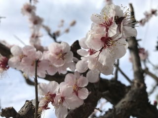 【会社説明会】明日17:00〜START！私服参加OK/エントリーシート不要