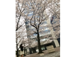 【説明会情報】本日15:00〜開催！当日参加OK/私服OK/エントリーシート不要