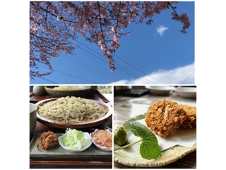 【仕事とプライベートの両立】思い立ったら即行動！