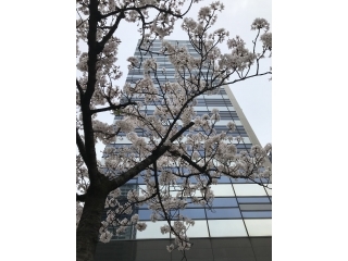 【説明会情報】5月スタート★まだ間に合う！！