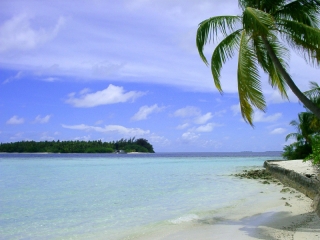 【説明会情報】会社説明会8/1（水）13:00～ラスト！！！