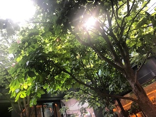 連休最終日｜長い10日連休も終わり！