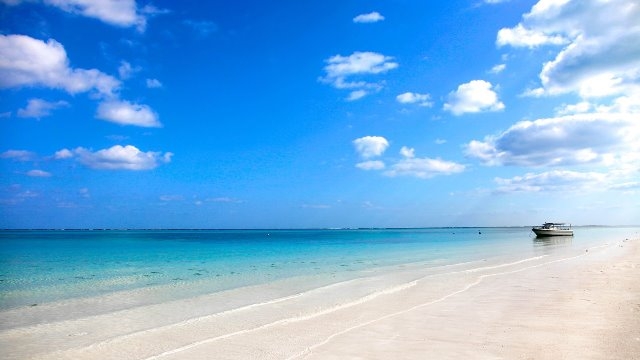 会社説明会｜今月ラスト開催！8/20(火)14:00～