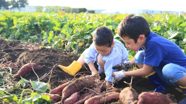 千ってどんな会社？～第2章「千が目指す世界」～