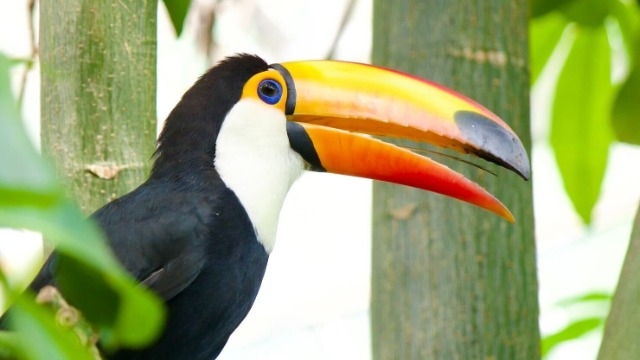 【自己紹介Part3】採用アシスタントのオオハシです！