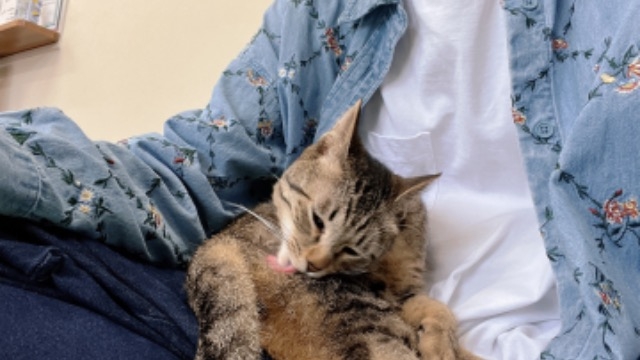 土日の休みにエネルギーチャージ！