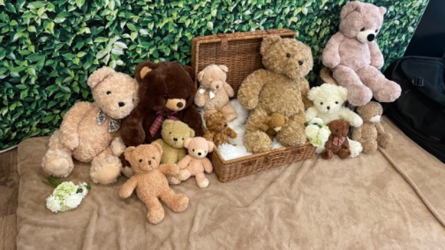 撮影会イベントやってます