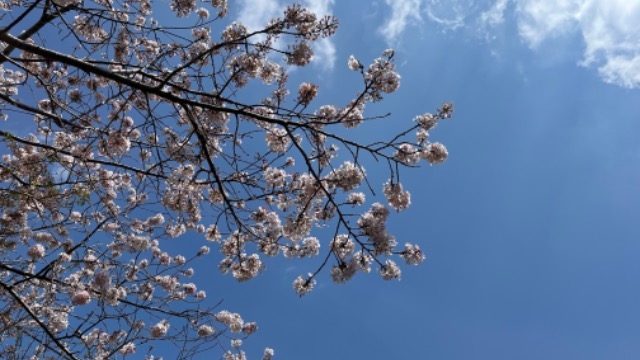 ４月スタート！！我が家でも変化が！