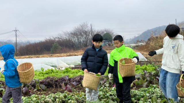 【地方創生×教育】畑から食卓へ！五感で学ぶ山梨の魅力🥕～Part 2～