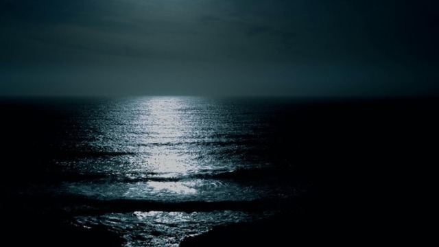 虚無感に苛まれた夜は