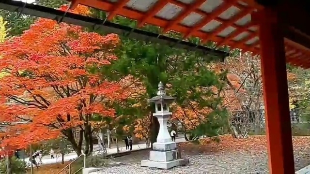 全国津々浦々旅行で見つけた地方ブランディング