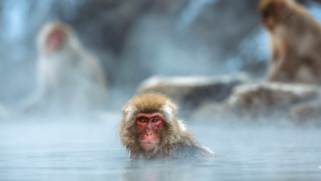 【エンジニア社員の休日の過ごし方！】（エンジニア・人事総務）積極採用中！✨