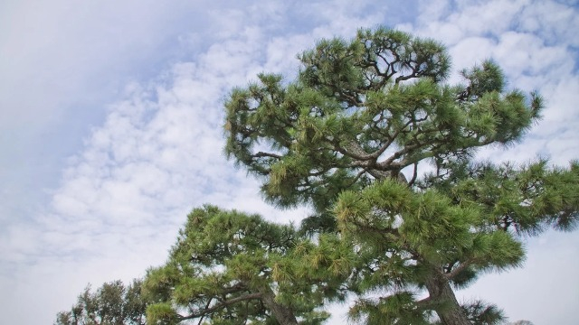 高名の○○○○【未経験からも目指せるトップエンジニア！】