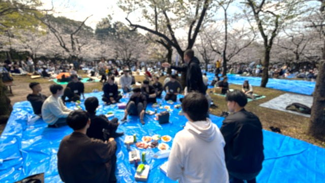 GATお花見イベントの様子🌸